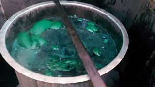 fabric dyeing green color  fabric dyeing process [upl. by Donnelly]