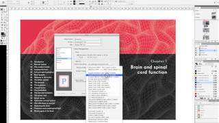 Outputting Postscript file separations in indesign [upl. by Jeconiah]