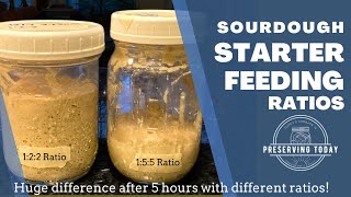 Sourdough Starter Feeding Ratios and How They Affect My Sourdough Starter [upl. by Batista758]