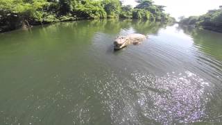 Jacarés no Recreio dos BandeirantesRJ  Filmagem Aérea com QuadCopter  Piloto Rafael Biriba [upl. by Fuhrman905]