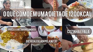 o que como em uma dieta de 1200kcal cardápio elaborado pela nutricionista para perca de gordura [upl. by Boycie5]