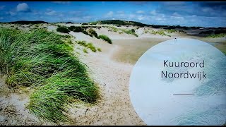 NOVsoos NOV2024  Wellness aan zee [upl. by Garvin157]