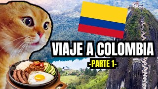 VIAJE A COLOMBIA  parte 1 meme de gatos [upl. by Anidam469]