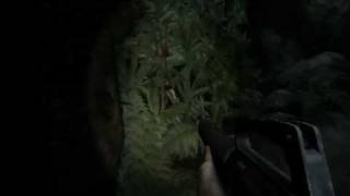 Shellshock 2  Ps3 Gameplay  Vietnam Jungle part 2 [upl. by Decrem]