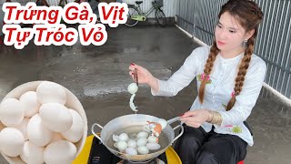 Trứng Gà Trứng Vịt Tự Tróc Vỏ Cách Luộc Trứng Gà Trứng Vịt Đỡ Phải Tốn Công Lột [upl. by Love]