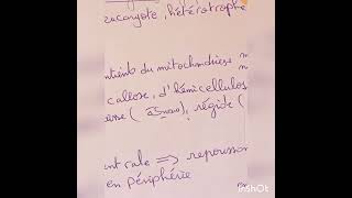 microbiologie L2 partie 07 cest quoi la mycologie  🦯🧫 [upl. by Ael]