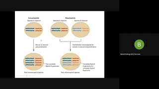 PLOIDY euploidy Aneupolyploid allopolyploid [upl. by Ezitram793]
