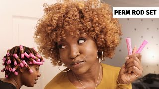 Perm Rod on Blown Out Hair  Natural Hair [upl. by Josephina209]