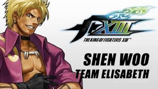 The King of Fighters XIII Shen Woo [upl. by Susi]