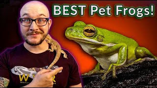 Top 5 BEST Pet Frogs  100K Subscriber Silver Play Button Reveal [upl. by Esinek]