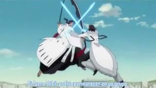 Kyoraku Shunsui VS Stark Resurrection AMV In The End [upl. by Nottirb367]