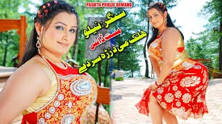 Halak Me Da Zrah Sar De  Pashto Dance Song  Singar Neelo Jan Shahsawar [upl. by Nollek]