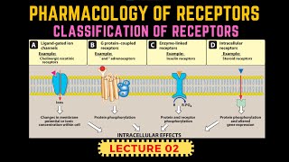 Types of Receptors  Receptors Pharmacology Part 2  GProtein Receptor By Muneeb [upl. by Annet251]