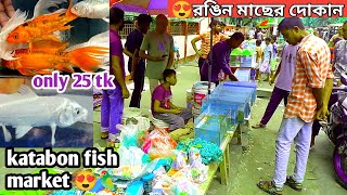 Aquarium Price In Bangladesh🔥 Aquarium Fish Price in bd 2024😱 Bangladesh Fish Market Price fish [upl. by Burkhard749]