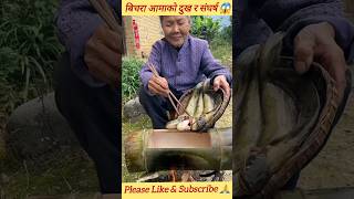 Bichara aama ko dukh 😭 fish fry on bamboo pot 🔥 amazingfacts cooking trending ytshorts viral [upl. by Cinom]