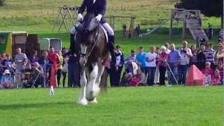 Dressage to music at North Wales Shire Open Day [upl. by Lilybelle]