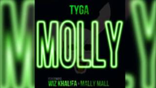 Tyga  Molly Bass Boosted amp Clean Lyrics Edit by DJ Sideofrize HD [upl. by Dahaf]