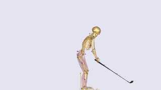 Golf swing motion analysis using C3D file [upl. by Gilberta384]