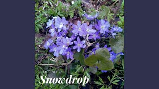 Snowdrop [upl. by Fahy]