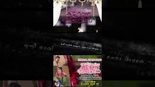 വല്ലാത്ത ഒരു ഫീൽ ആണ് ഈ പാട്ടു കേൾക്കാൻ feel love song viral [upl. by Wulf548]