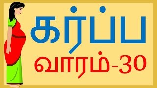 Pregnancy  Tamil  Week by Week  Week 30 [upl. by Islek]