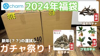 【ガチャ祭り！】2024年charm新春福袋で新年？の運試し！開封動画アクアリウム [upl. by Nollahs]