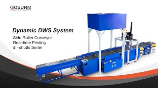 Dynamic DWS 5 ports sorting line with realtime printing [upl. by Oisinoid]