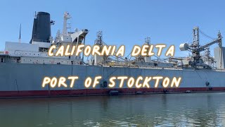 Striper Schoolies Smashing the Jig California Delta  San Joaquin River [upl. by Yevi]