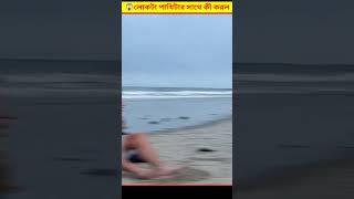 😱 লোকটা হাত দিয়ে পাখি ধরার পর তার সাথে এটা কী করল  Catching Seagull Bird With Hand Bangla [upl. by Okwu]