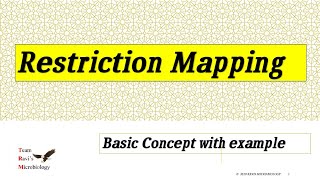 Restriction Mapping  Restriction Digestion Concept  Hindi [upl. by Opportina648]