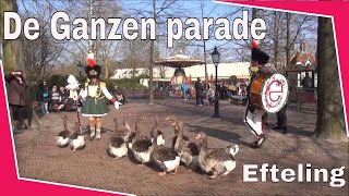 Ganzen parade  efteling Avrotros ledendag 1232016 [upl. by Hairu]