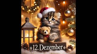 Katzenbabys Weihnachtskalender advent weihnachten newmusic katze love christmas [upl. by Adiari]