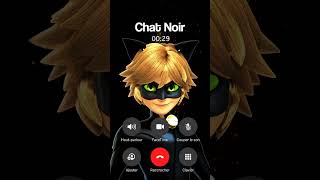 APPEL CHAT NOIR MIRACULOUS IL RÉPOND [upl. by Joletta]