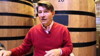 Demystifying the wines of Burgundy [upl. by Ahsikad]