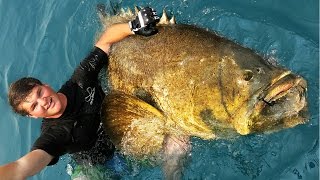 Extreme Goliath Grouper Fishing [upl. by Teilo]