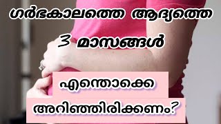 ഗർഭകാലത്തെ ആദ്യത്തെ 3 മാസങ്ങൾ എന്തൊക്കെ അറിഞ്ഞിരിക്കണംfirst trimester of pregnancy malayalam [upl. by Stace]