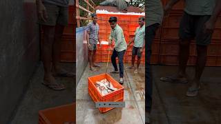 బీహార్ కి చేపల🐟లోడ్ ఇయింది🚛👆 manatruckvlogs driving fish [upl. by Cioffred]