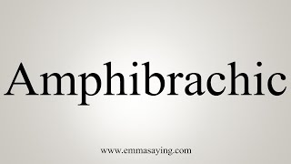 How To Say Amphibrachic [upl. by Rammus913]