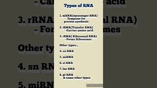 dailyshorts biochemistry rna biology medicalstudent pharmacy science proteinsynthesis gene [upl. by Ellienad256]