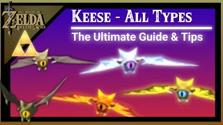 Keese Wing Farming Locations ALL TYPES The Legend of Zelda Breath of The Wild [upl. by Kajdan]