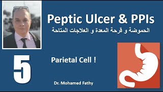 Peptic Ulcer amp PPIs  Part  5  حموضة المعدة و الارتجاع [upl. by Yrtneg]