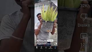 Kalamanda soda anta roi😰 viralvideo telugu trending kalabanda aloveravillagestyle sodafood [upl. by Rollie365]