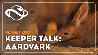 Planet Zoo  Keeper Talk  Aardvark [upl. by Ikciv988]