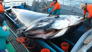 Unbelievable Halibut Catches  Mastering Longline Fishing in Alaska [upl. by Ainaznat]