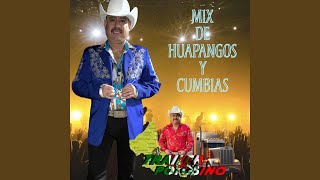 Mix de huapangos y cumbias [upl. by Arnoldo]