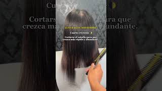 CALENDARIO LUNAR NOVIEMBRE 2023  que días cortar tu cabello para que crezca más Rapido haircut [upl. by Norine]