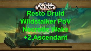 Necrotic Wake Mythic 2 Resto druid wild stalker PoV The War Within Season 1 Affix Ascendant [upl. by Inram]