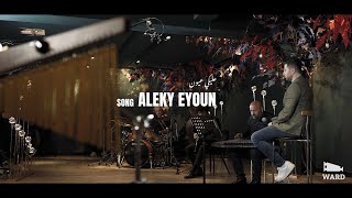 Aleky Eyoun  cover Fadi Karat  عليكي عيون [upl. by Bork135]