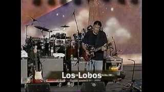 Los Lobos Bertha live 1997 Furthur Festival concert performance [upl. by Ylahtan778]