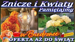 𝐁𝐈𝐄𝐃𝐑𝐎𝐍𝐊𝐀🐞 Nowa Oferta Do Świąt Znicze i Kwiaty na Wszystkich Świętych – Pamiętajmy o Bliskich [upl. by Esir]